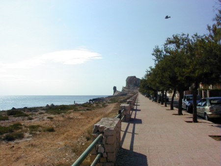 Litoranea