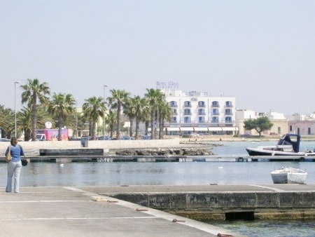 Vista della costa sud
