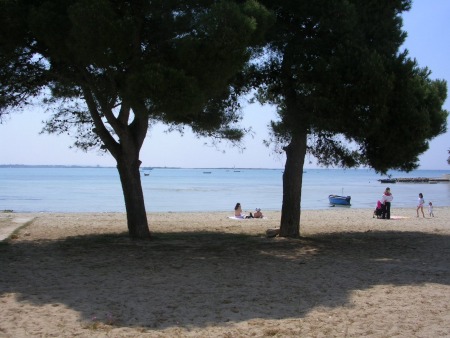 Pineta Spiaggia