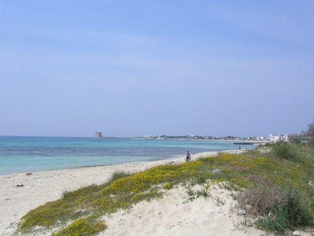 Dune Torre Lapillo
