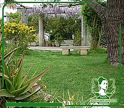 Donna Vincenza - foto 2