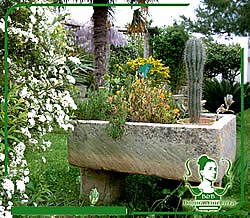 Donna Vincenza - foto 7