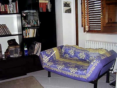 La Patuscia - foto 7