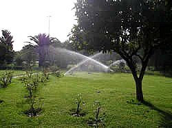 Villa Lustrelle - foto 7