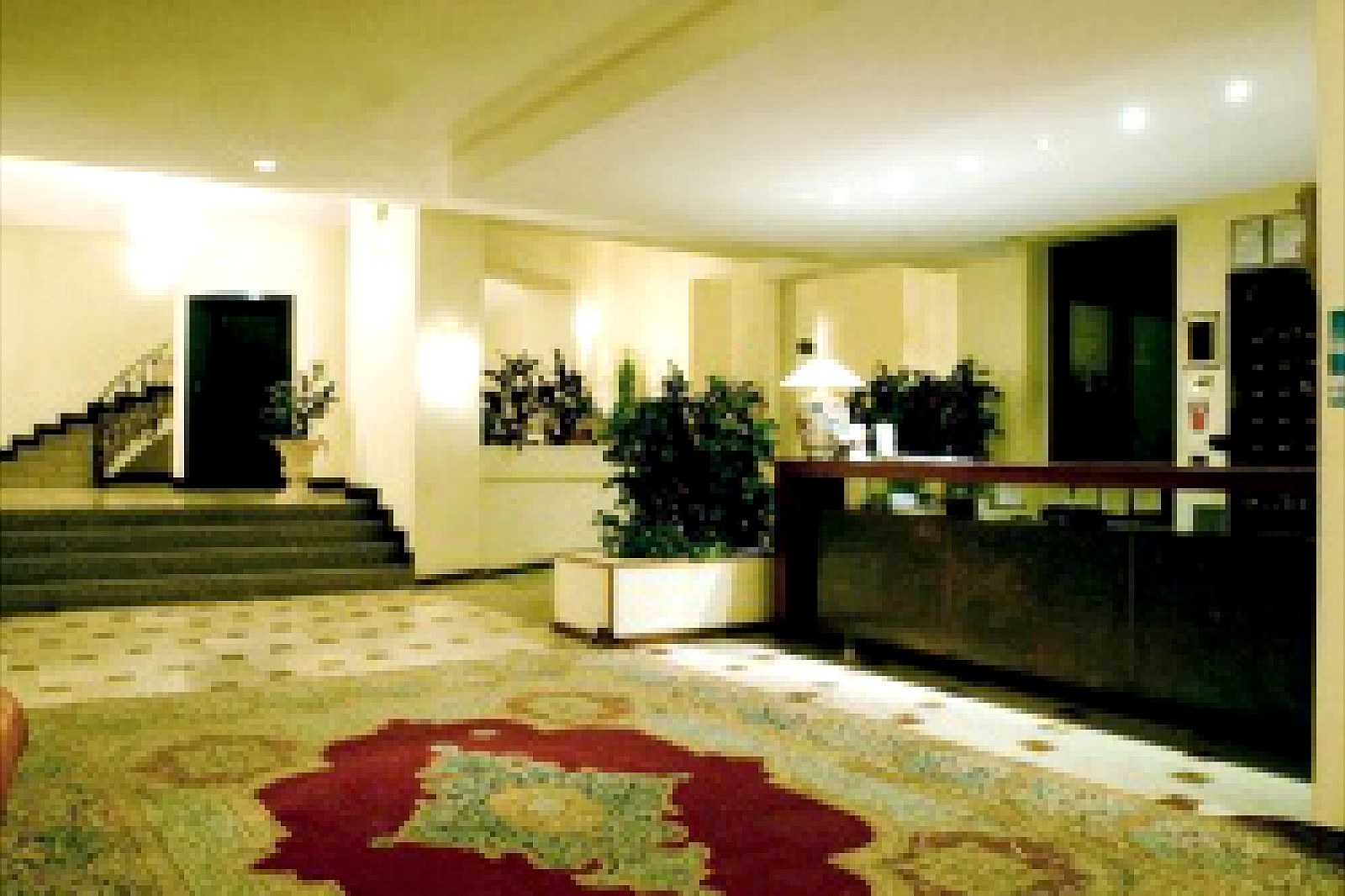 Araba Fenice - foto 7