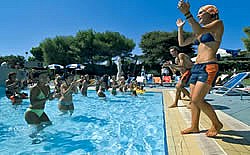 BRAVO CLUB ALIMINI - foto 6