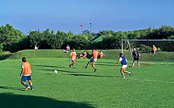 BRAVO CLUB ALIMINI - foto 7