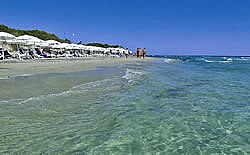 BRAVO CLUB ALIMINI - foto 8