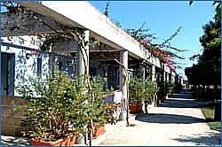 Hotel Villaggio La Brunese - foto 3